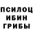 Псилоцибиновые грибы прущие грибы Rusnec 325