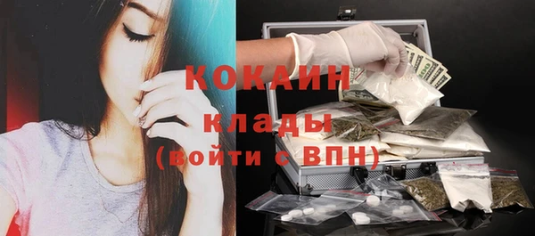 гидропоника Бородино