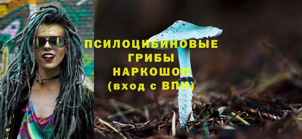 гидропоника Бородино
