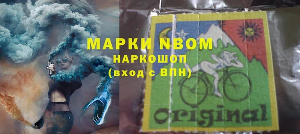 гидропоника Бородино