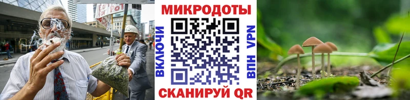 KRAKEN зеркало Вышний Волочёк Псилоцибиновые грибы Magic Shrooms